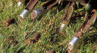 Core Aeration - Green Earth Lawn Service - Richmond, VA