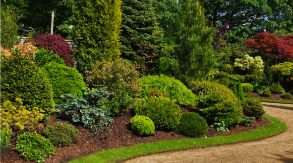 Tree & Shrub Program - Green Earth Lawn Services - Richmond, VA